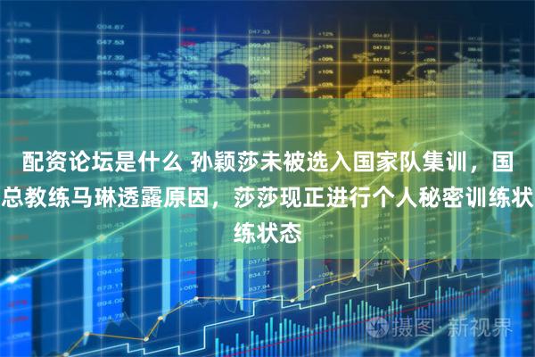 配资论坛是什么 孙颖莎未被选入国家队集训，国乒总教练马琳透露原因，莎莎现正进行个人秘密训练状态