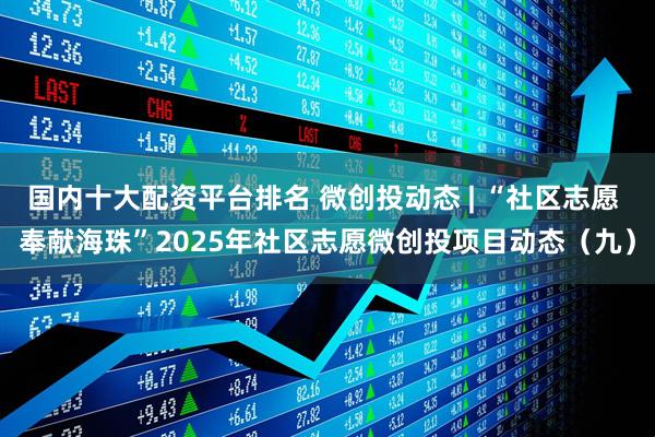 国内十大配资平台排名 微创投动态 | “社区志愿 奉献海珠”2025年社区志愿微创投项目动态（九）