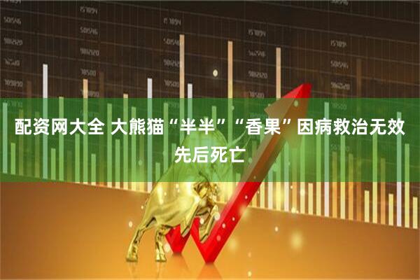 配资网大全 大熊猫“半半”“香果”因病救治无效先后死亡
