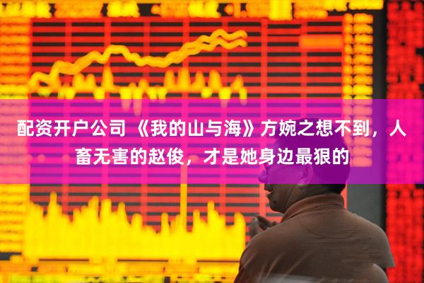 配资开户公司 《我的山与海》方婉之想不到，人畜无害的赵俊，才是她身边最狠的