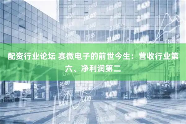配资行业论坛 赛微电子的前世今生：营收行业第六、净利润第二